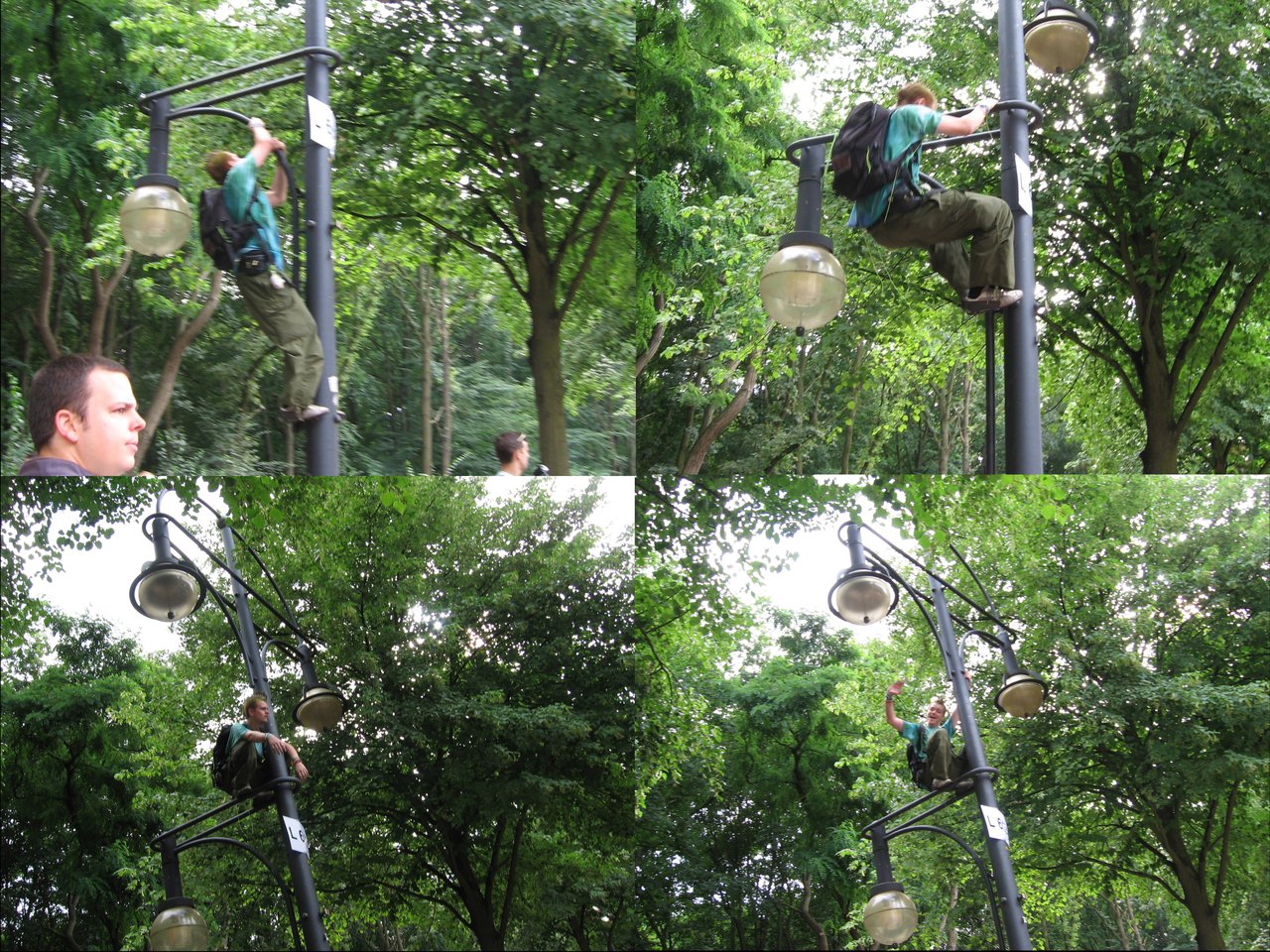 Collage de un berlinés trepando una farola muy alta