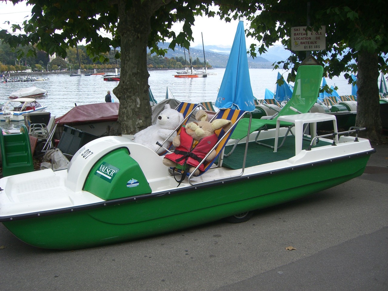 Pedal boat