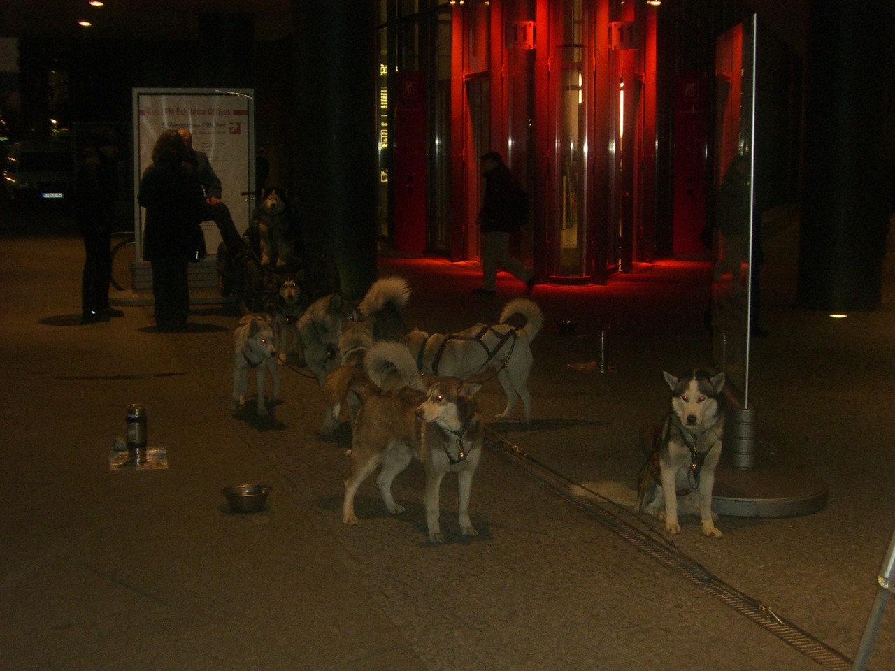 Someone came by sled