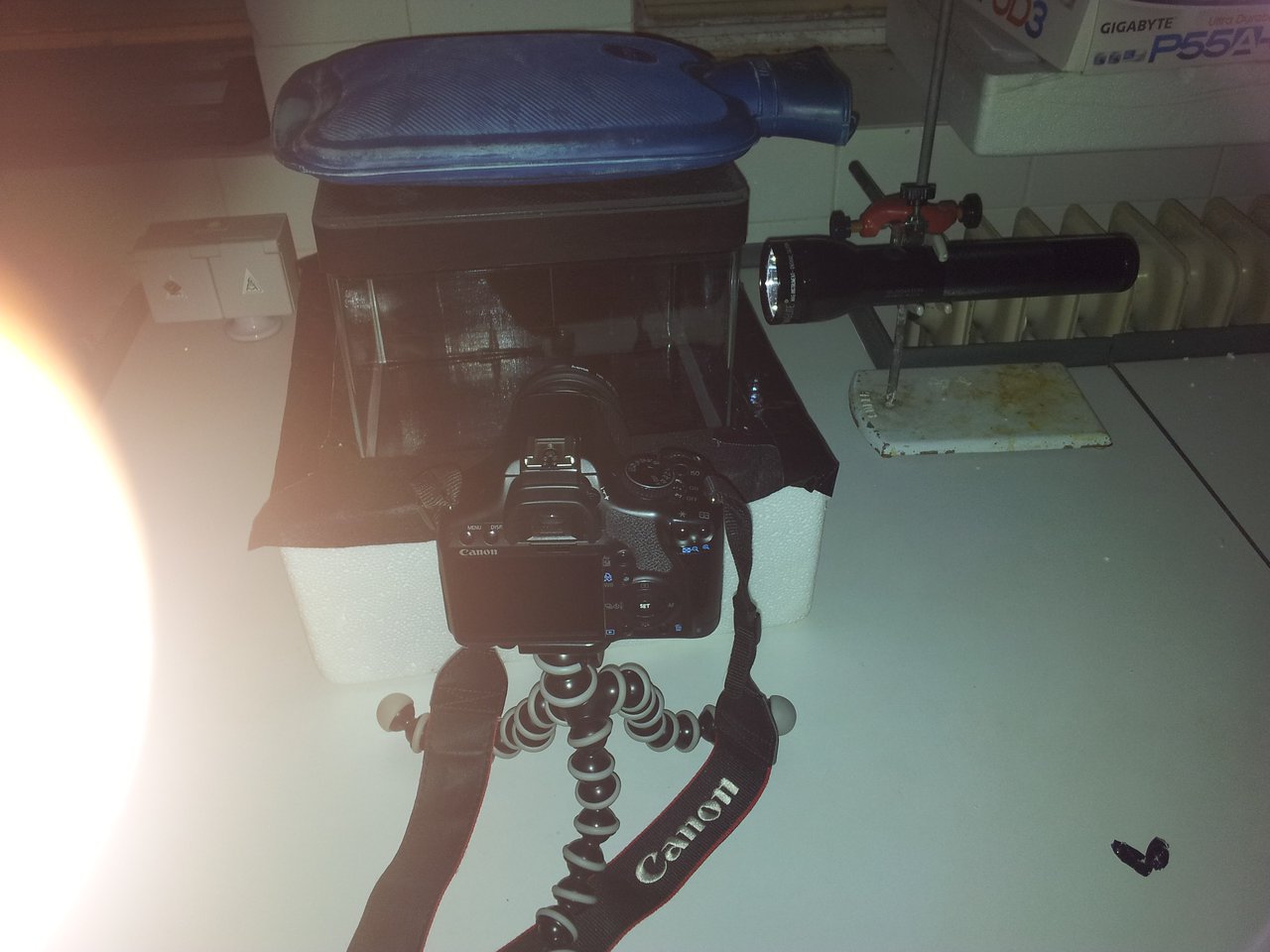 Cámara lista para funcionar (Perdón por el dedazo en la foto)