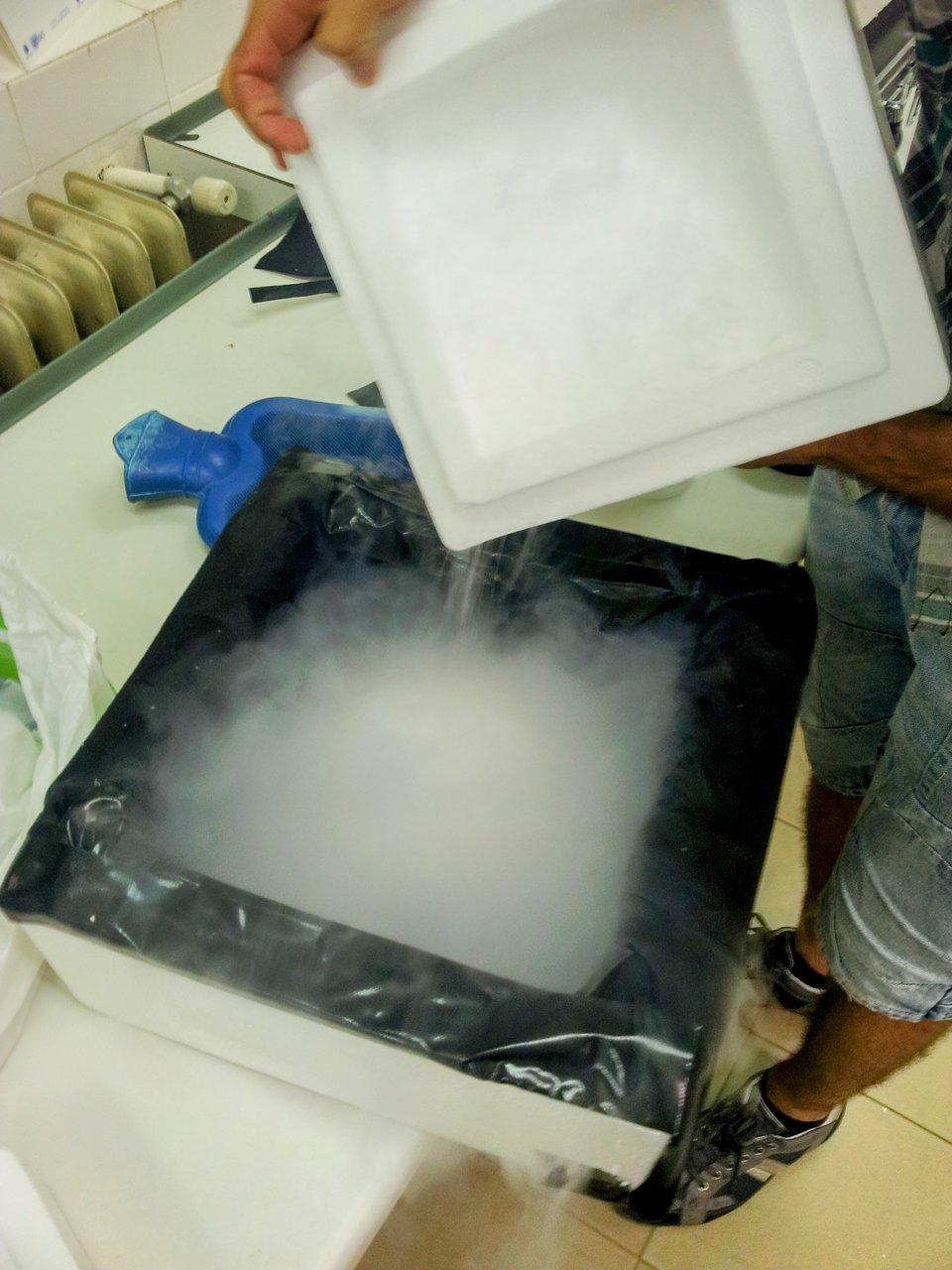 Transferencia del hielo seco a la caja aislante (cuidado que quema)