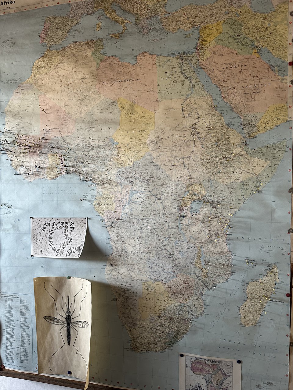 Mapa de África de Mario Coluzzi